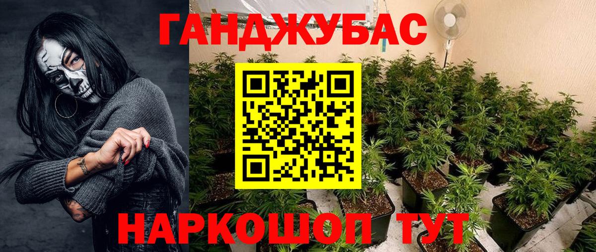 Конопля планчик Саянск